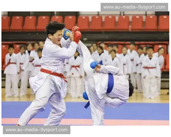 空手道赛事深度